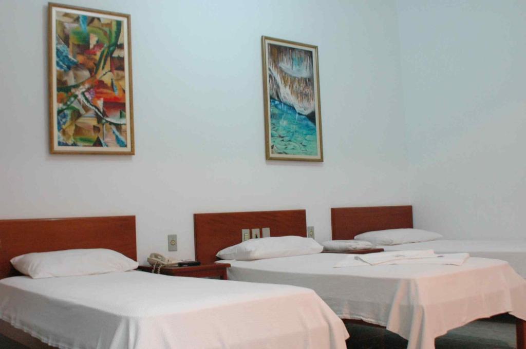 Hotel Marathi Park Rondonopolis Bagian luar foto